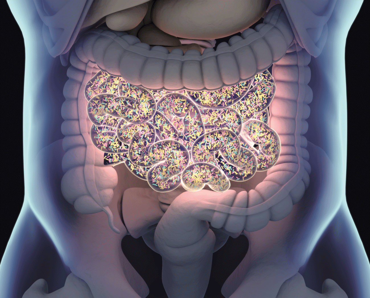 The Gut Microbiome – What is my gut microbiome?