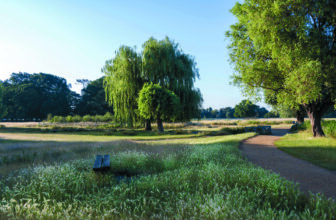 Wild Wonders – June 2025