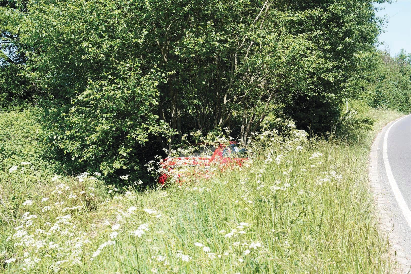 Crane Spotter: Parachuting pipit hits the deck
