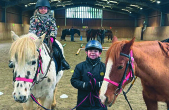 Come and Enjoy ‘Tea With a Pony’