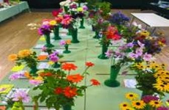 Ewhurst Horticultural Society Autumn Show 2025