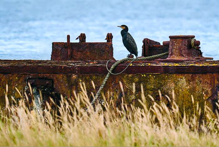 Enter Cranleigh Camera Club Competition 2026