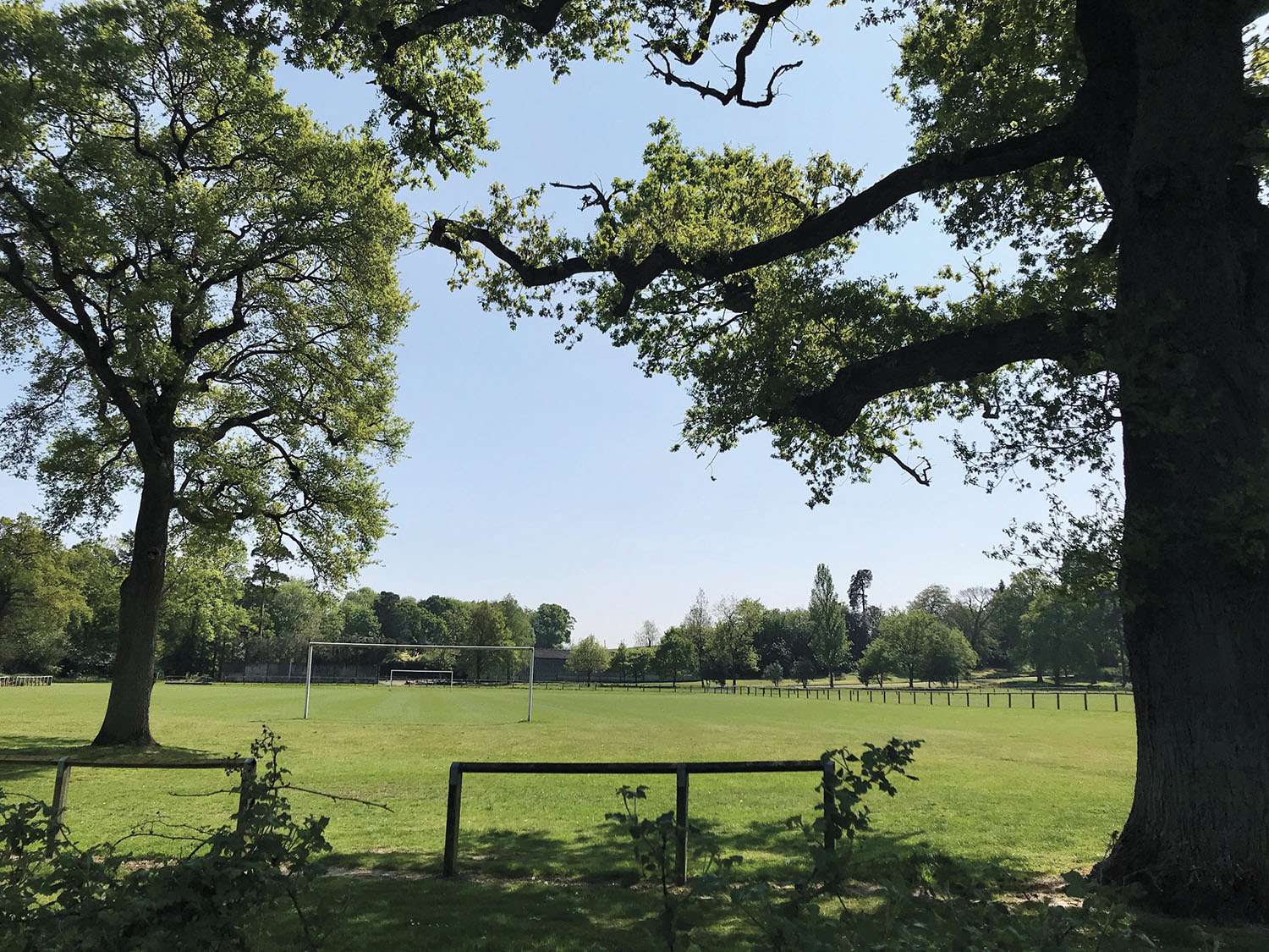 The Joy of Cranleigh – They Came to Cranleigh: Bruce McKenzie, owner of Knowle, 1970-78