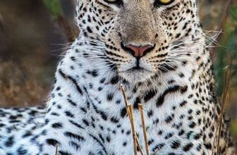 Join Cranleigh Camera Club