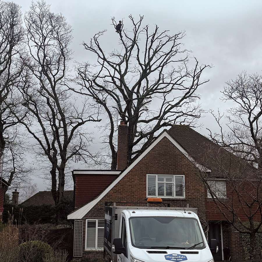 Wild Wonders – April 2026