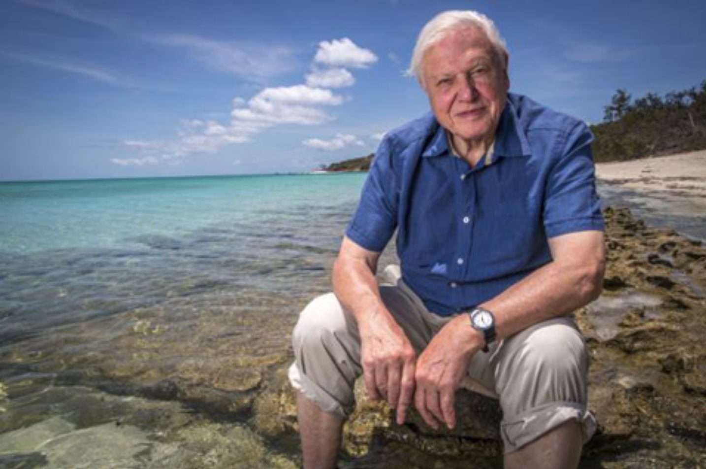 Sir David Attenborough reaches 100!